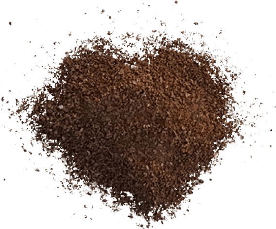 auger image2