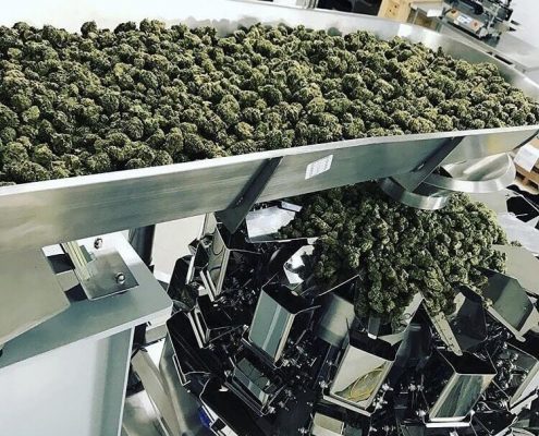 PrimoCombi-cannabis-packaging-machine
